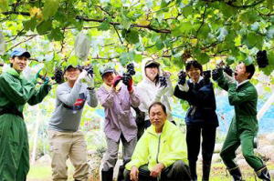 農業インターンシップでブドウの収穫体験をする学生写真