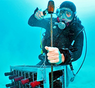 海洋熟成ワイン