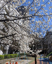 日本橋蛎殻公園
