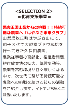 selection2����x������